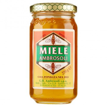 MIELE LIQUIDO AMBROSOLI GR 250